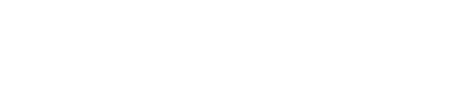 Logo Coparmex Footer